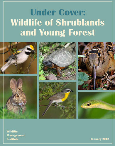 Under Cover: Wildlife of Shrublands and Young Forest